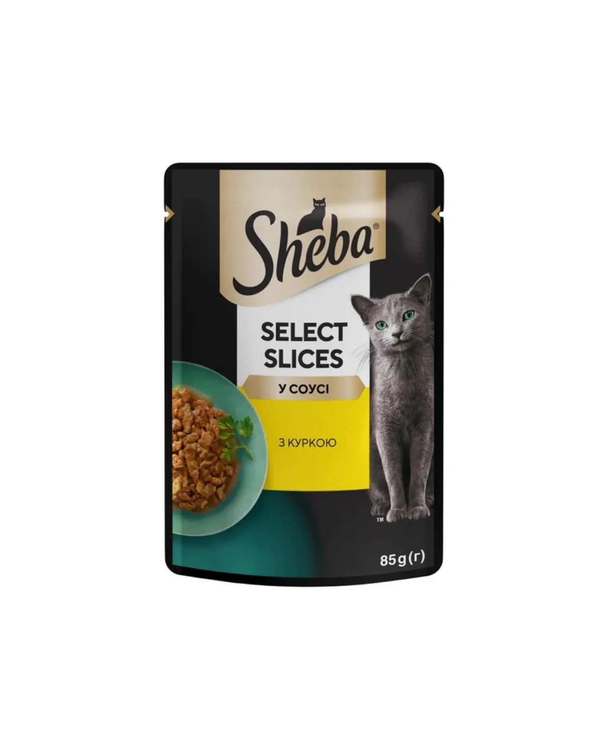SHEBA KESICA 