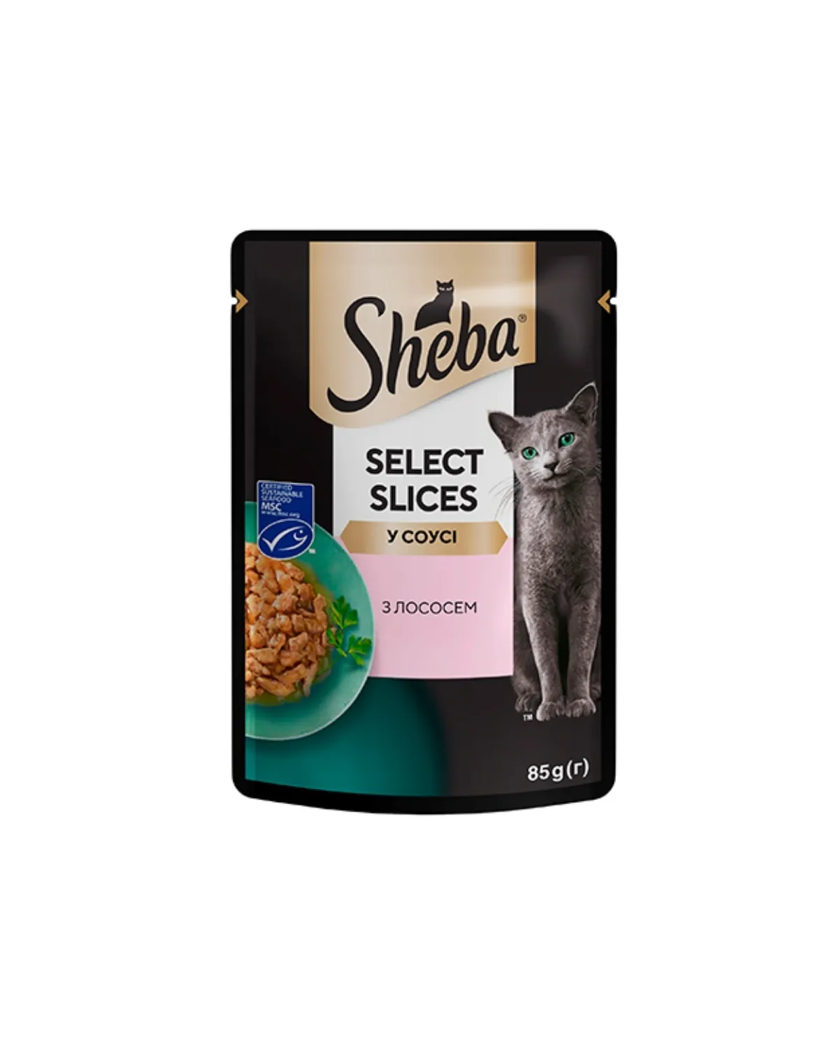 SHEBA KESICA 