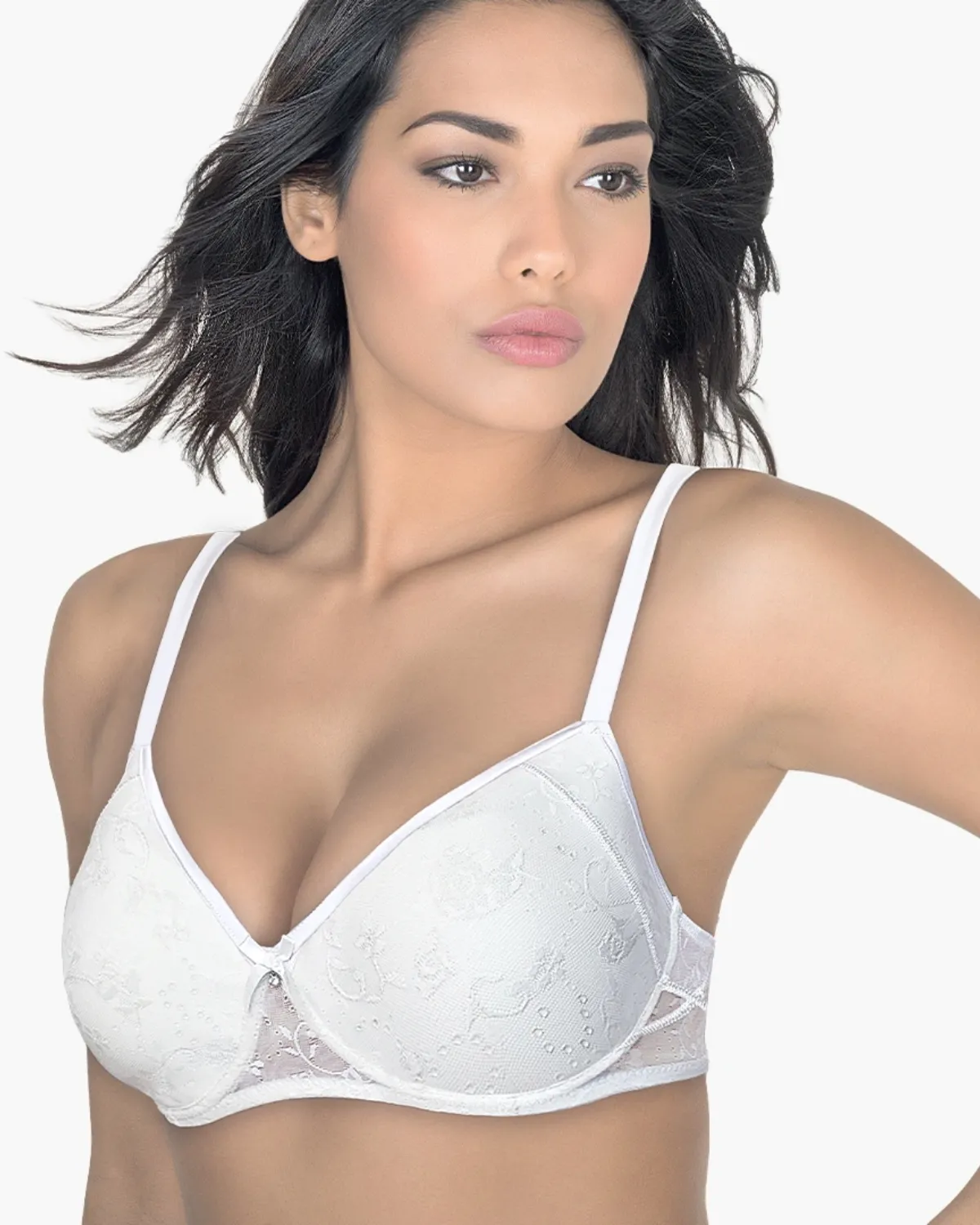 ARIS BRUSHALTER LUDOVICA 