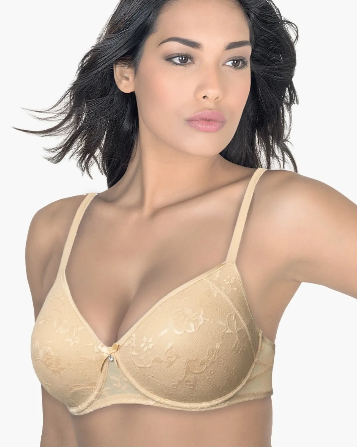 ARIS BRUSHALTER LUDOVICA 