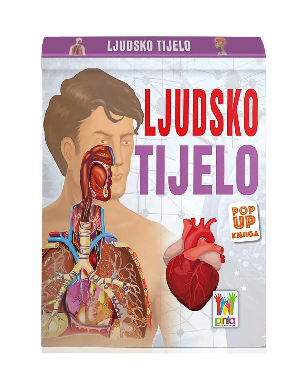 POP UP KNJIGA - LJUDSKO TIJELO 