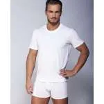 ALMA-RAS MAJICA ARIJAN 