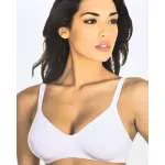 ARIS BRUSHALTER FLORA 