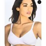 ARIS BRUSHALTER FLORA 