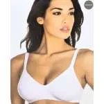 ARIS BRUSHALTER FLORA 