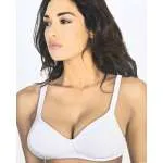 ARIS BRUSHALTER ALTEA 