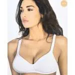 ARIS BRUSHALTER ALTEA 