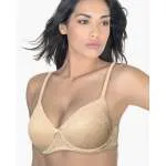 ARIS BRUSHALTER LUDOVICA 