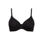 SIELEI BRUSHALTER 1654 