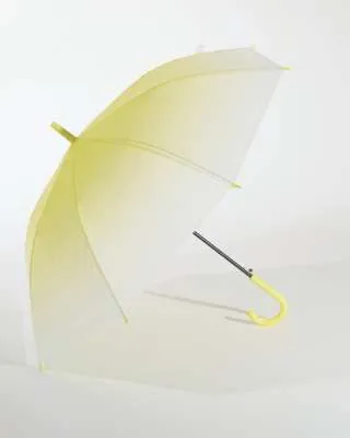 KISOBRAN GALLOTTI A.D 333/3 