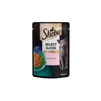 SHEBA KESICA 