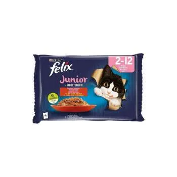 FELIX JNR AGAIL GIJ MVCTRYSD 12(4X85G)IT 
