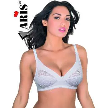 BRUSHALTER ARIS NUNZIA 