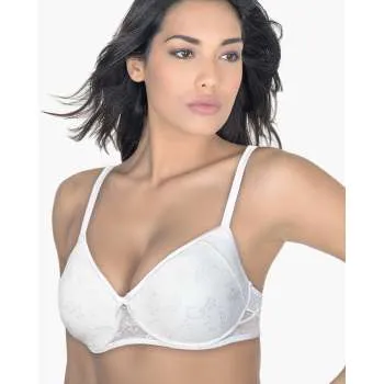 ARIS BRUSHALTER LUDOVICA 