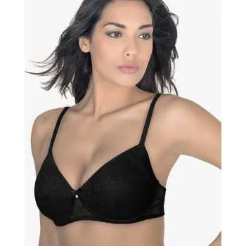 ARIS BRUSHALTER LUDOVICA 