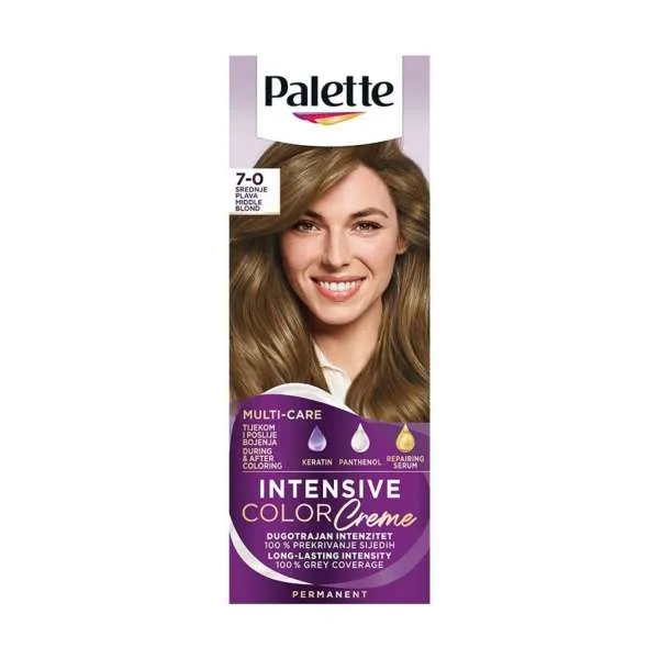 PALETTE N6 MIDDLE BLOND ICC 