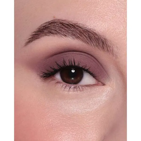 ASTRA CHROMO THERAPY eyeshadow mat finish 196T 