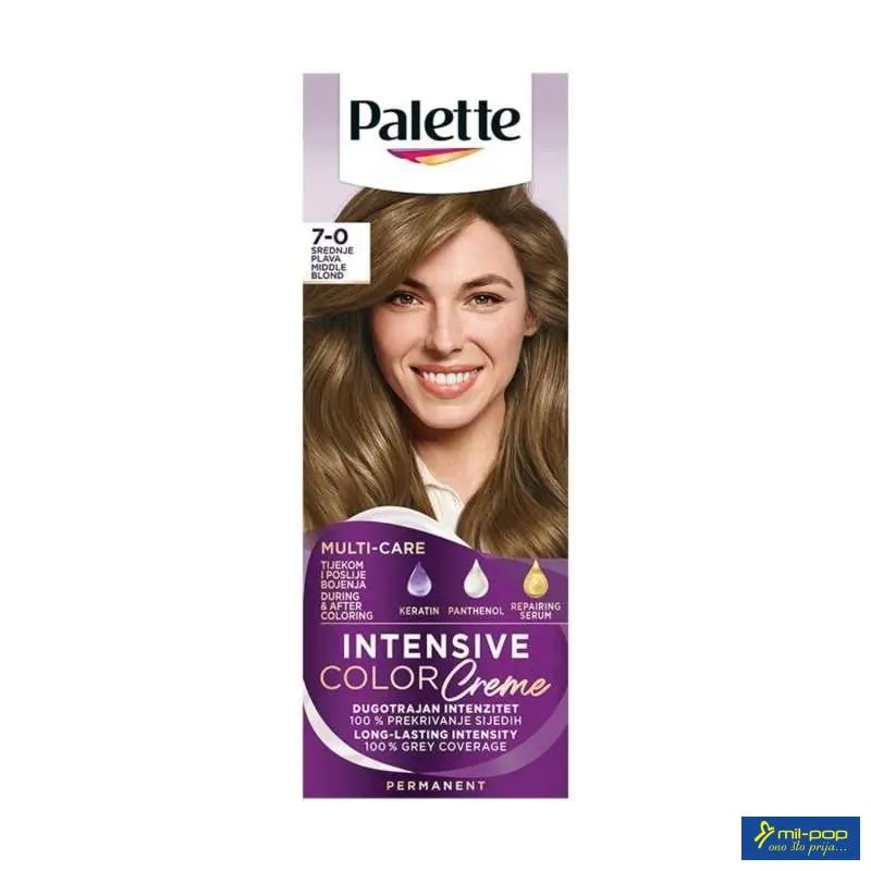PALETTE N6 MIDDLE BLOND ICC