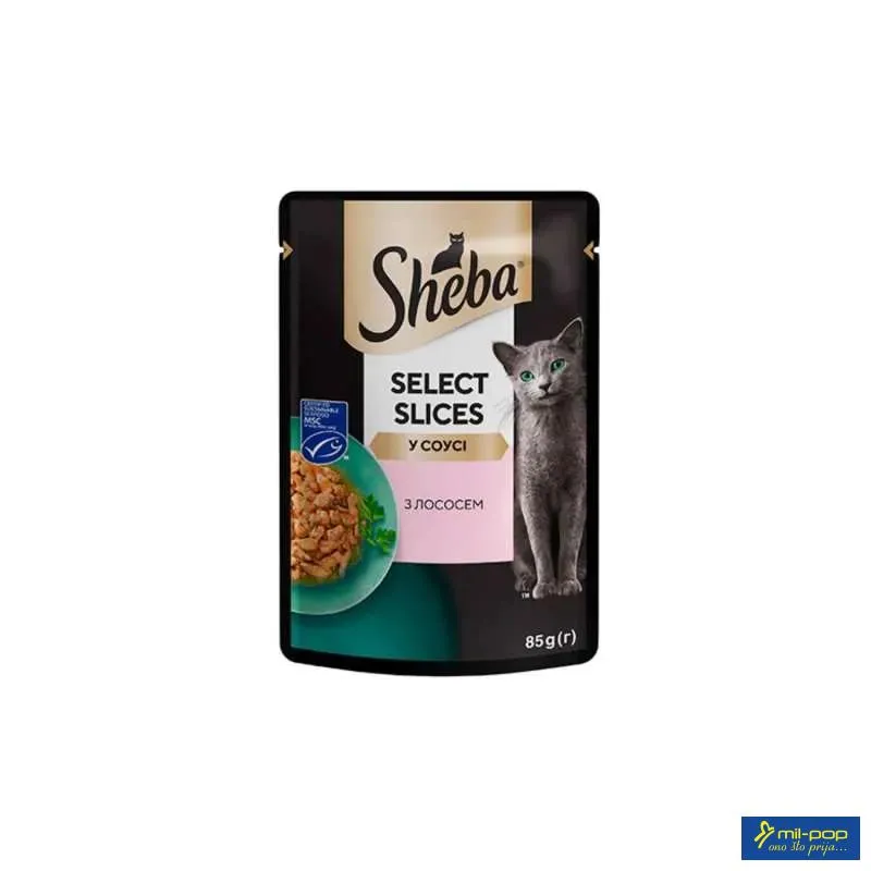 SHEBA KESICA 
