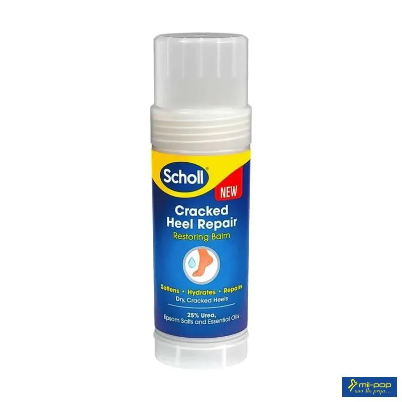 SCHOLL BALZAM STIK ZA OBNOVU SUVE KOŽE 70G 