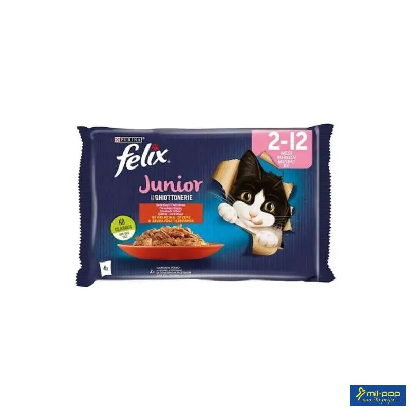 FELIX JNR AGAIL GIJ MVCTRYSD 12(4X85G)IT 