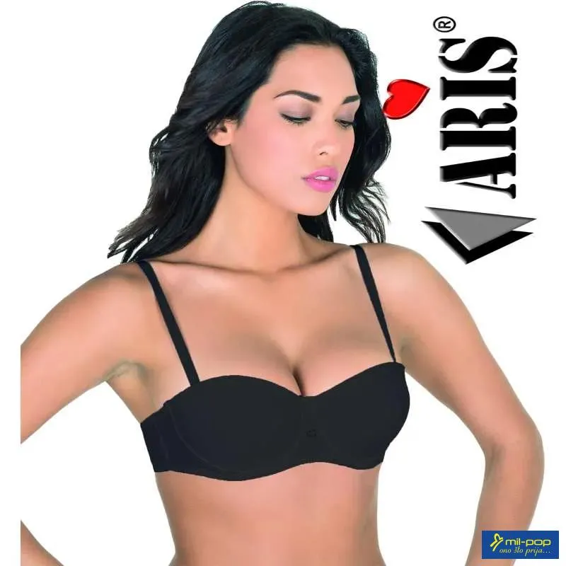 BRUSHALTER ARIS DESY 