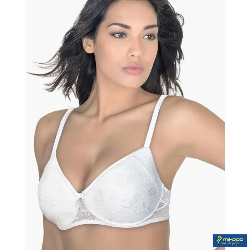 ARIS BRUSHALTER LUDOVICA 