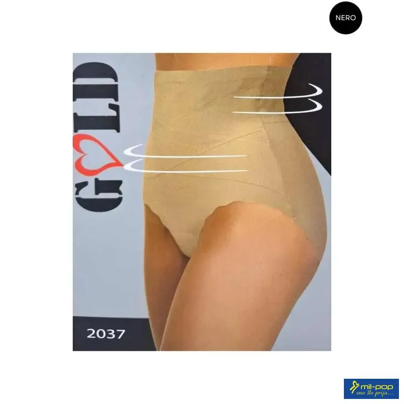 ARIS STEZNIK 2037 