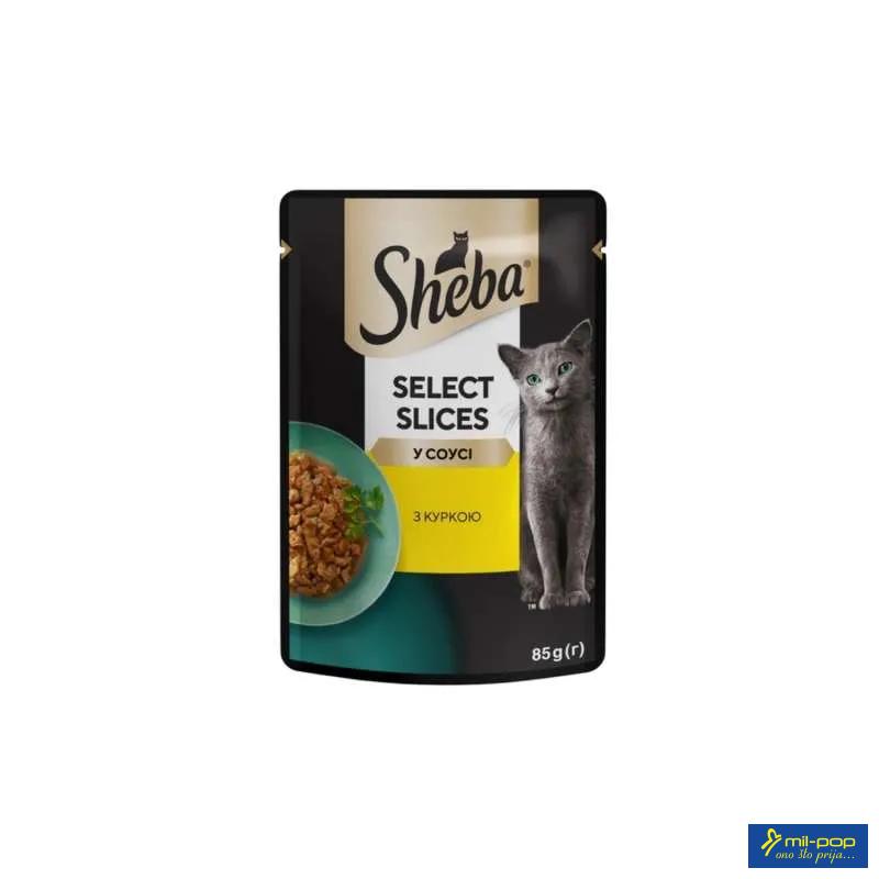 SHEBA KESICA 
