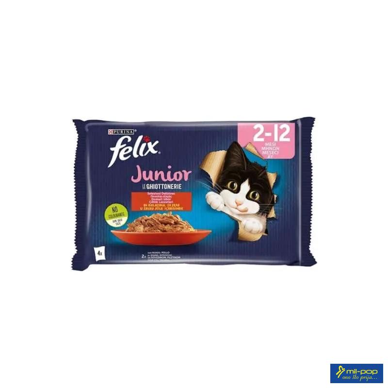 FELIX JNR AGAIL GIJ MVCTRYSD 12(4X85G)IT 
